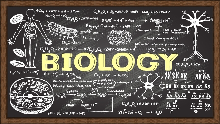 Biology Tutor