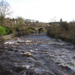 Allan Water and The Haugh