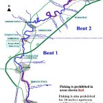 Allan Water Angling Improvement Association