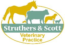 Vets : Struthers & Scott