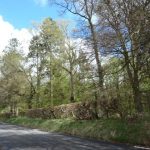 Planning Application for Kippendavie Wood?