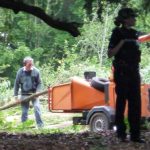 Open Meeting to discuss illegal Tree Felling on Holmehill : Thursday 4th July at 7.00pm in Braeport Centre