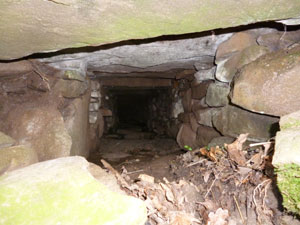 Glen Interpretation Board