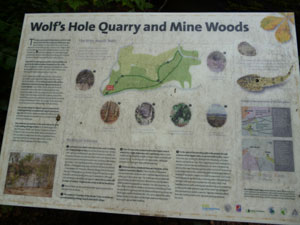Wolf's Hole Board