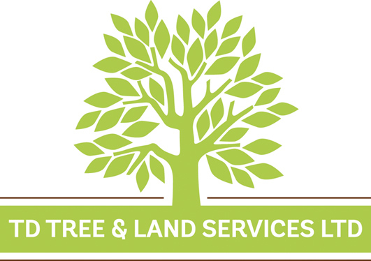 TD Tree & Land Services Ltd – Professional Tree Surgeons
