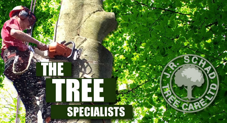 J R Schad Tree Care Ltd