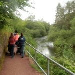 Walks, Runs & Cycling