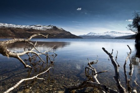 phoca thumb l  mg 2493-1[1]