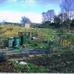 Dunblane Allotment Group