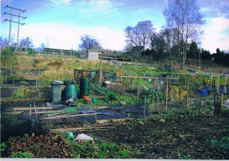 Dunblane Allotments