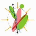 Dunblane Community Partnership invites all community groups to meeting on 20 February