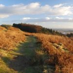 Footpaths on Dumyat : Understanding What’s Happening