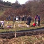 Dozens turn out to plant trees on the Laigh Hills