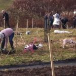 Now five fruit trees are damaged in Laigh Hills orchard