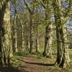 Stirling Observer article about the ‘mystery owner’ of Holmehill