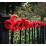 Poppies adorn Dunblane in lead up to Armistice Day