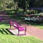 Stirling Observer finally picks up Story of Pink Benches