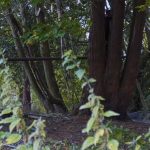 Holmehill : Watch the Video of the New Owner’s Consultation Day in September