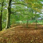 Holmehill : Archeological Dig on Monday 20 May