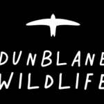 Dunblane Wildlife Group