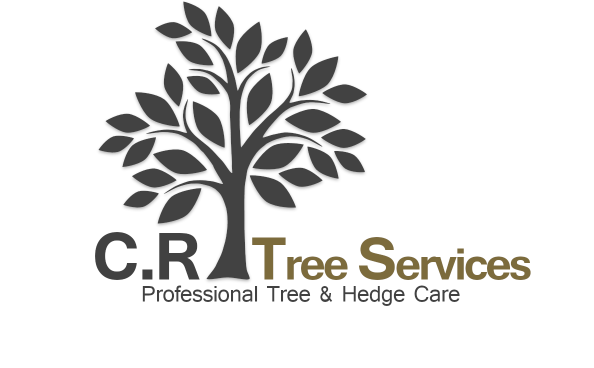 Landscape & Gardening Services