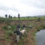 Allan Water Improvement Project