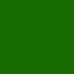 Green Online Consultation