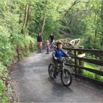 Glen Road Survey Results