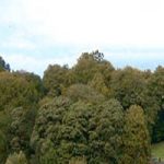 Holmehill Community Buyout (former website)