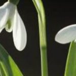 25th Anniversary ITV documentary was aired on 11th March