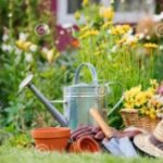 New Organisers required for Dunblane Gardening Club