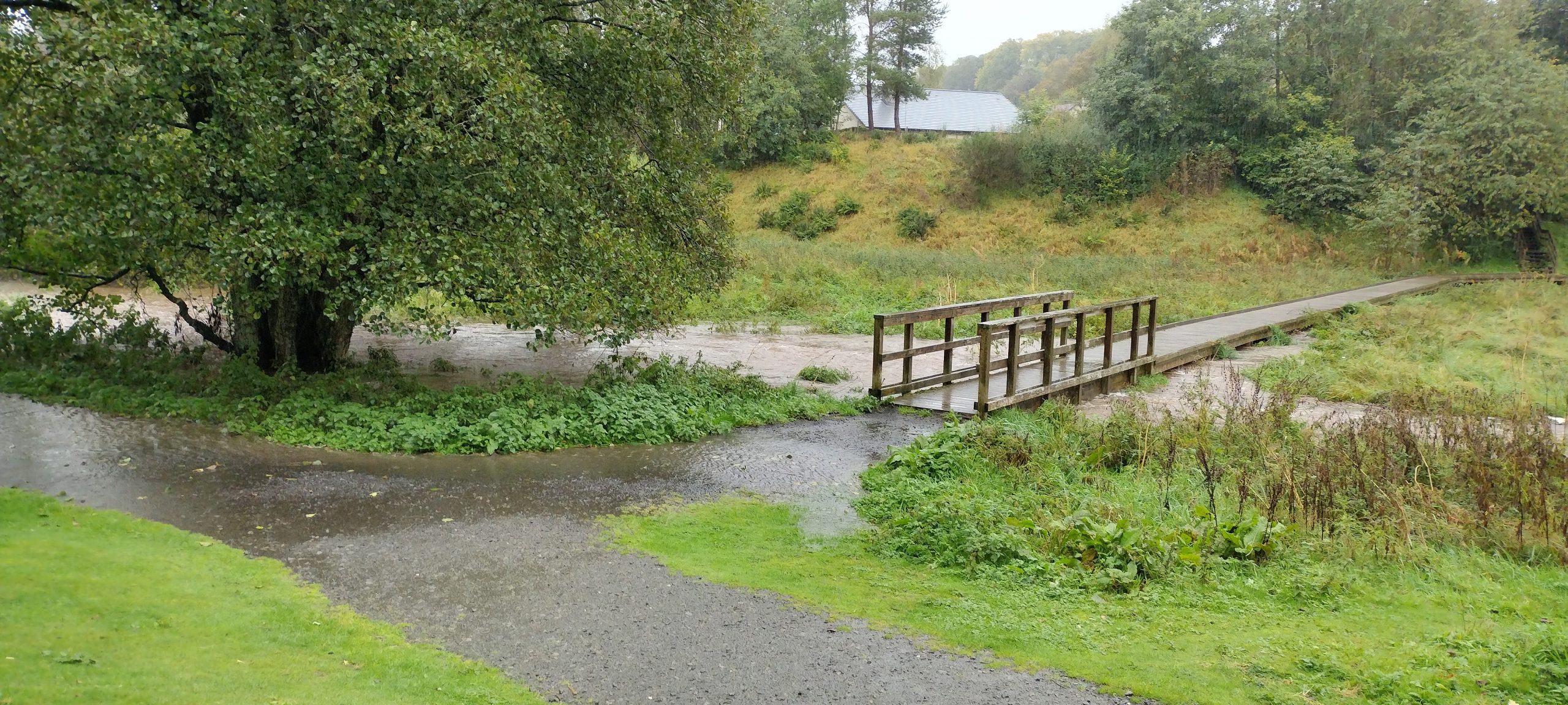 IMG 20231007 130824972