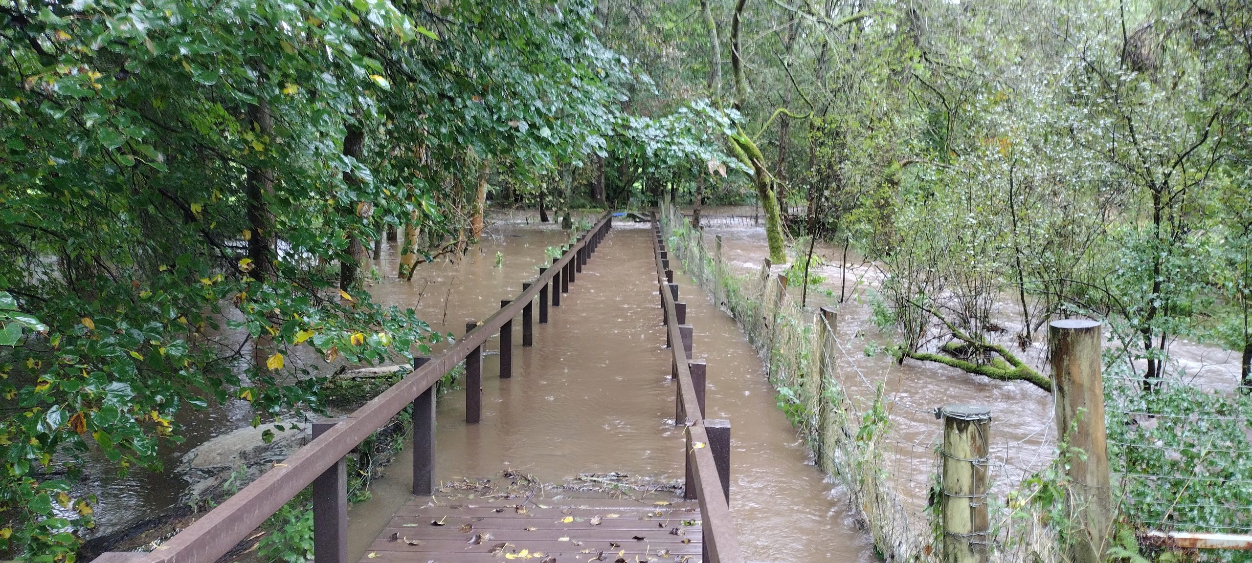 IMG 20231007 131751224