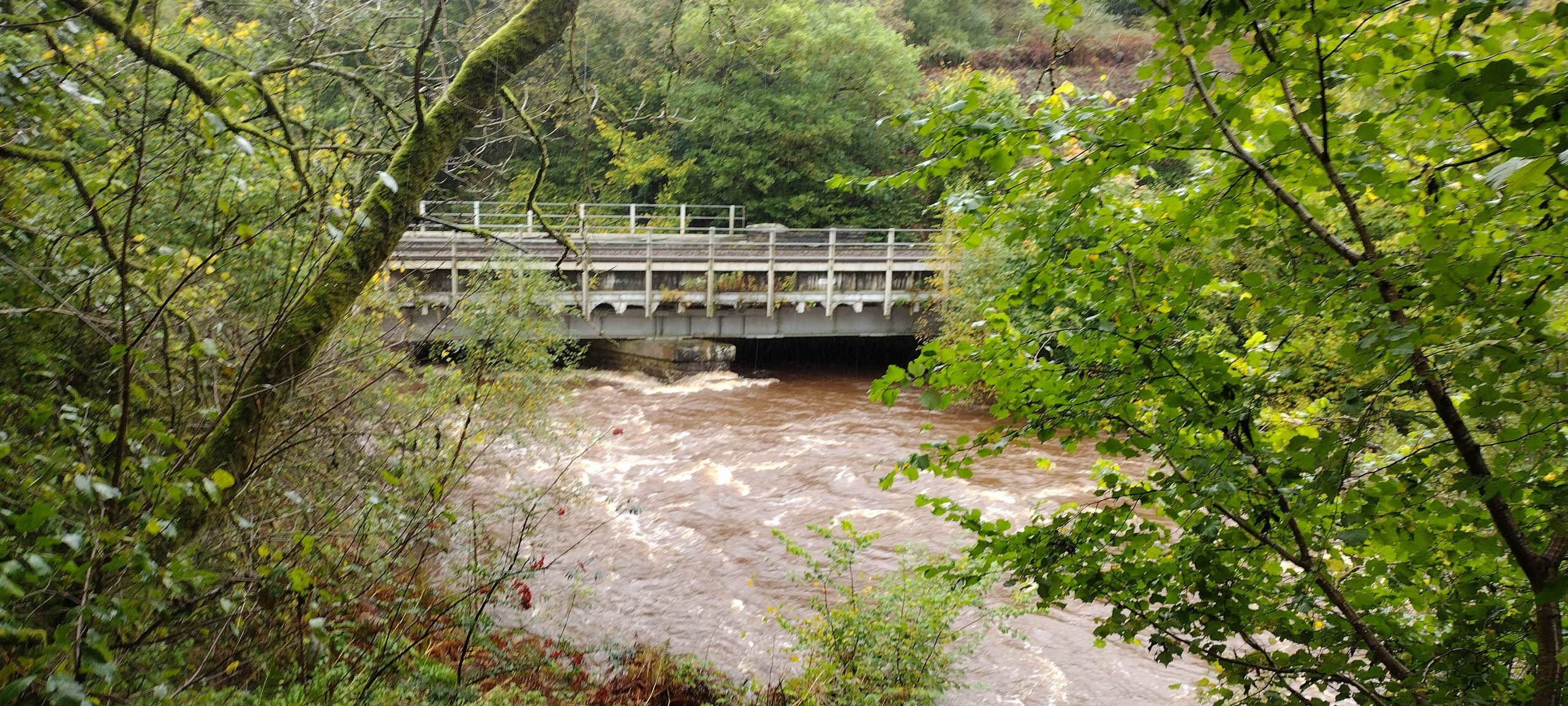 IMG 20231007 133417538