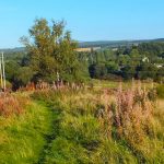 Friends of the Laigh Hills