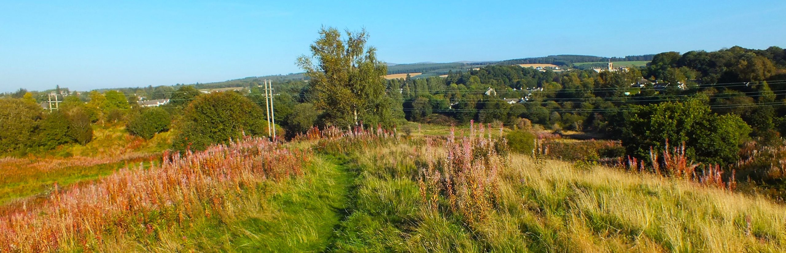 Friends of the Laigh Hills