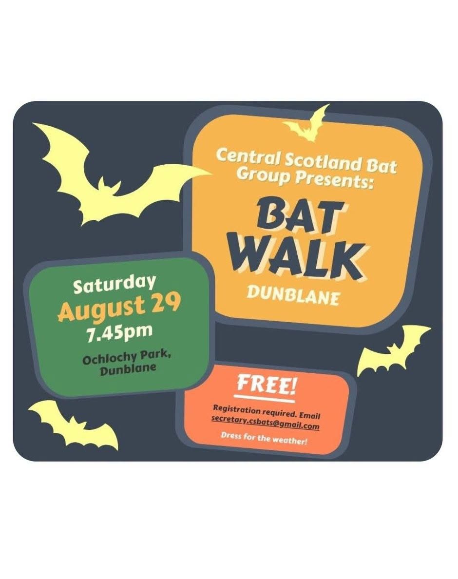 Bat Walk at Ochlochy Park