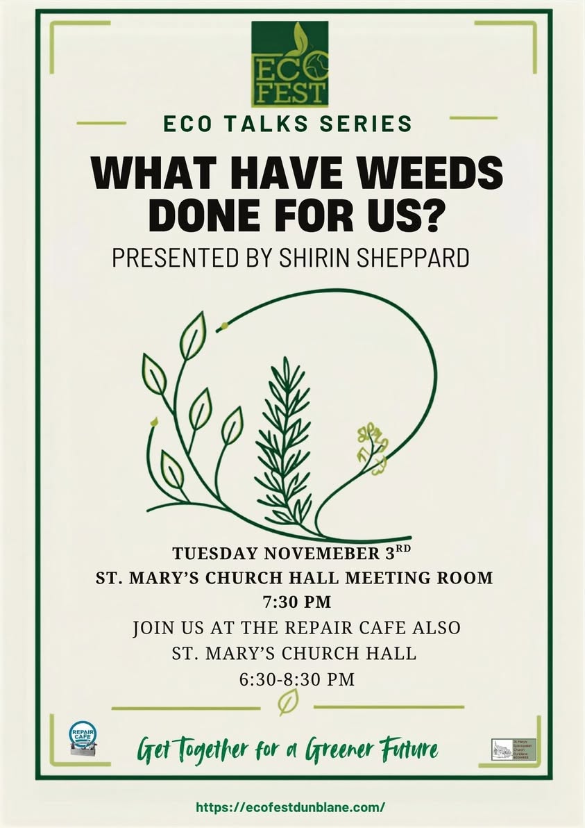 Eco Talk - What Have Weeds Done For Us